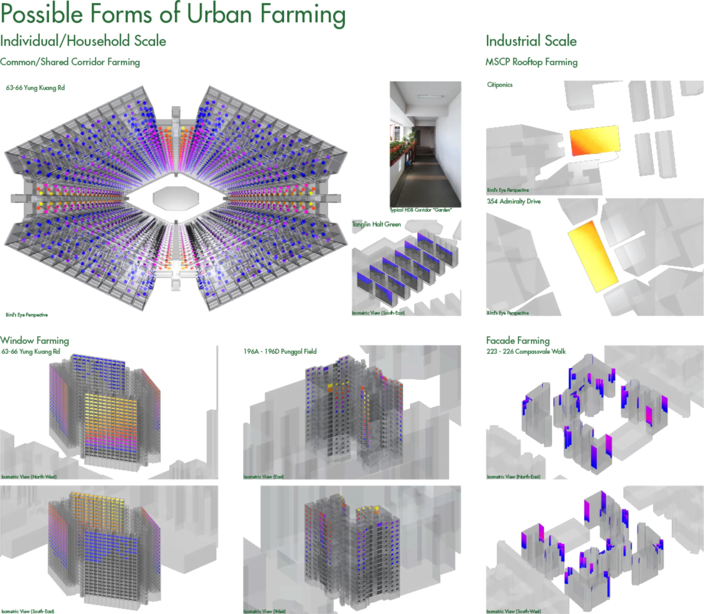 What the Farm? — image 6